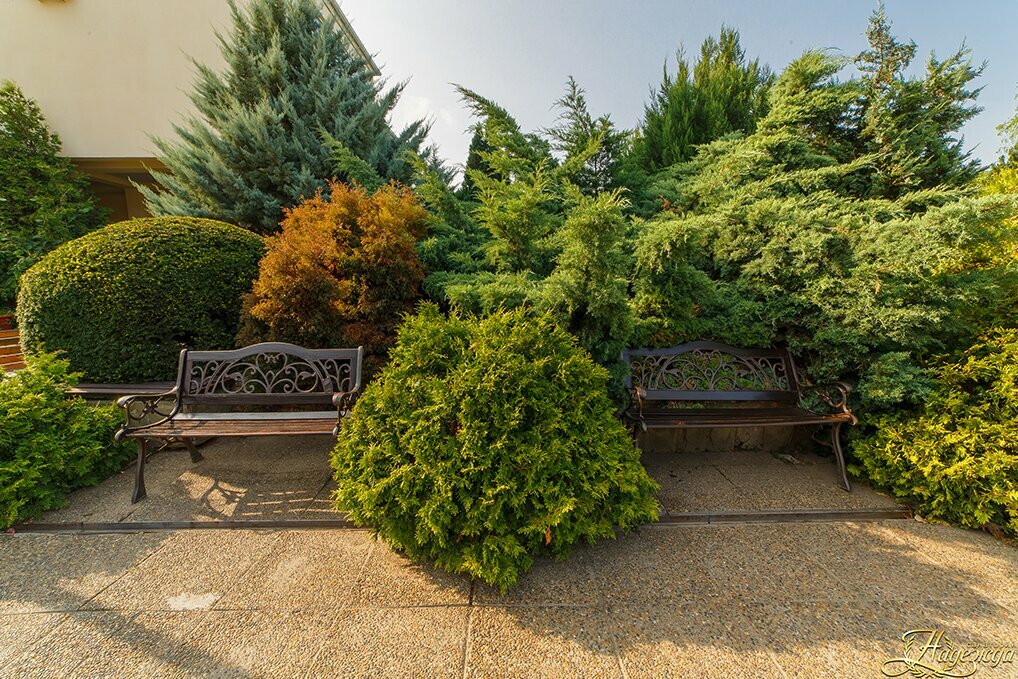 Гостиница Надежда Анапа-136