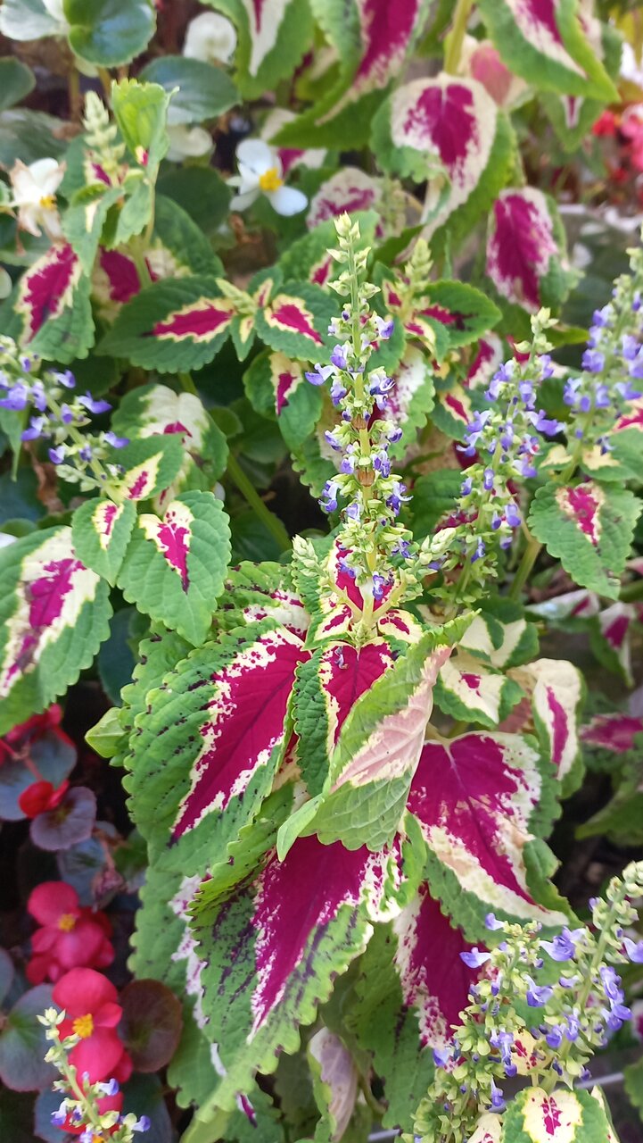 Гостиница Надежда Анапа-134