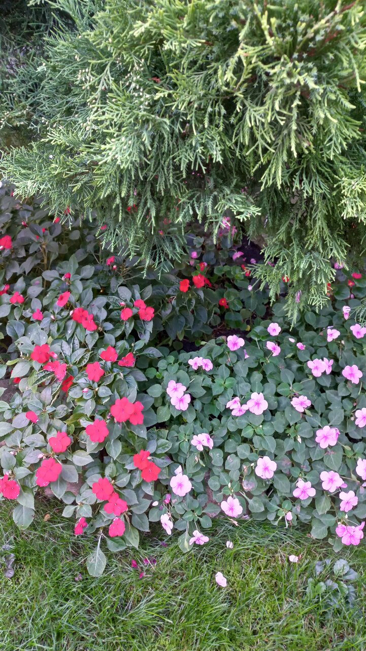 Гостиница Надежда Анапа-133