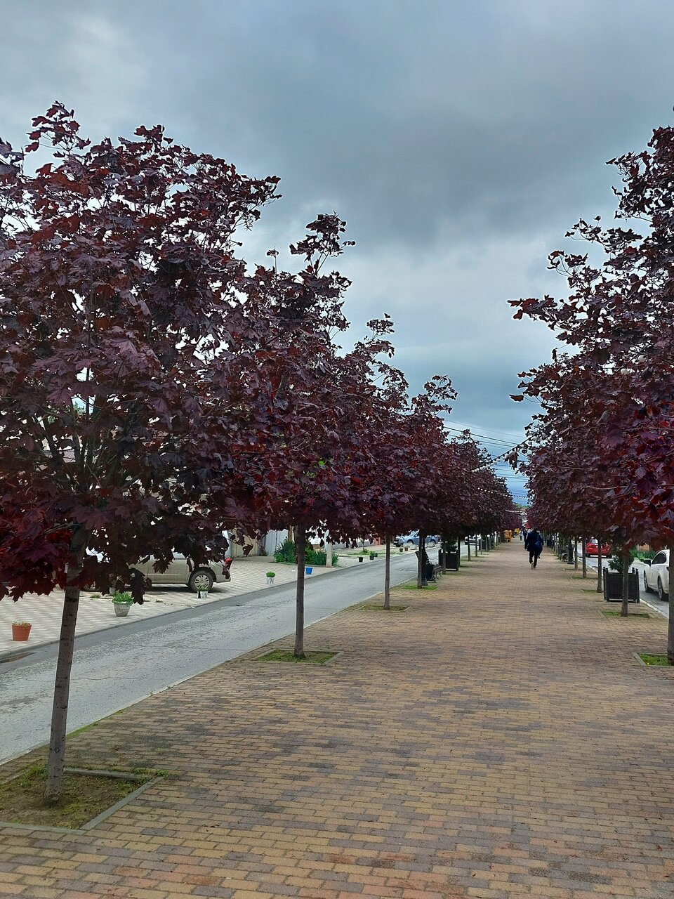 Гостиница Надежда Анапа-119