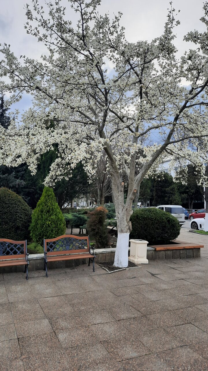 Гостиница Надежда Анапа-154