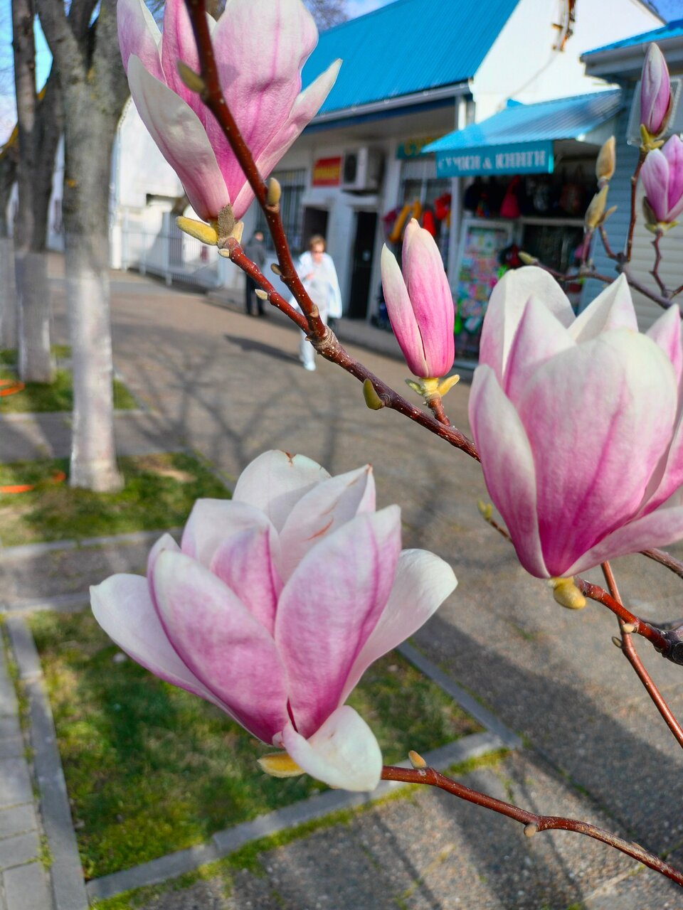 Гостиница Надежда Анапа
