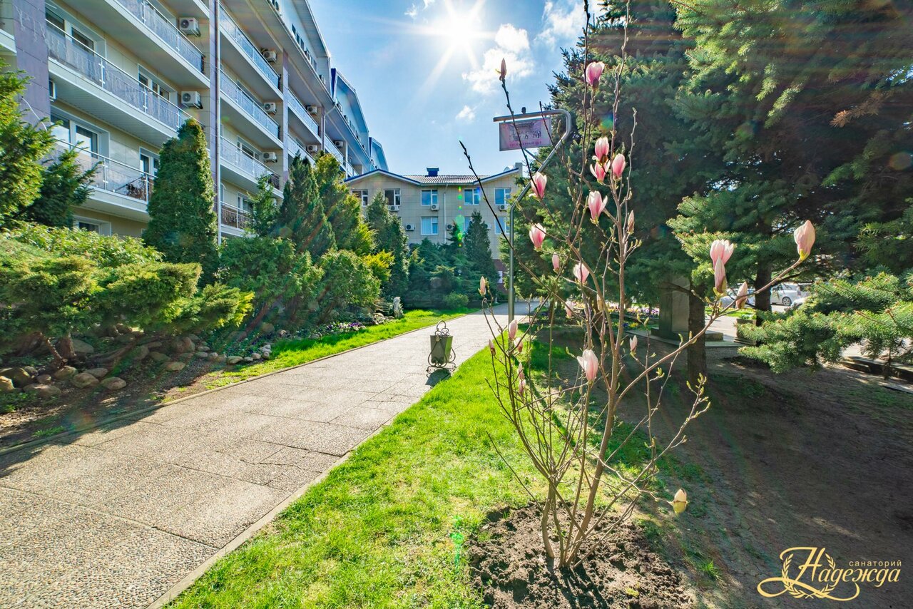 Гостиница Надежда Анапа-142