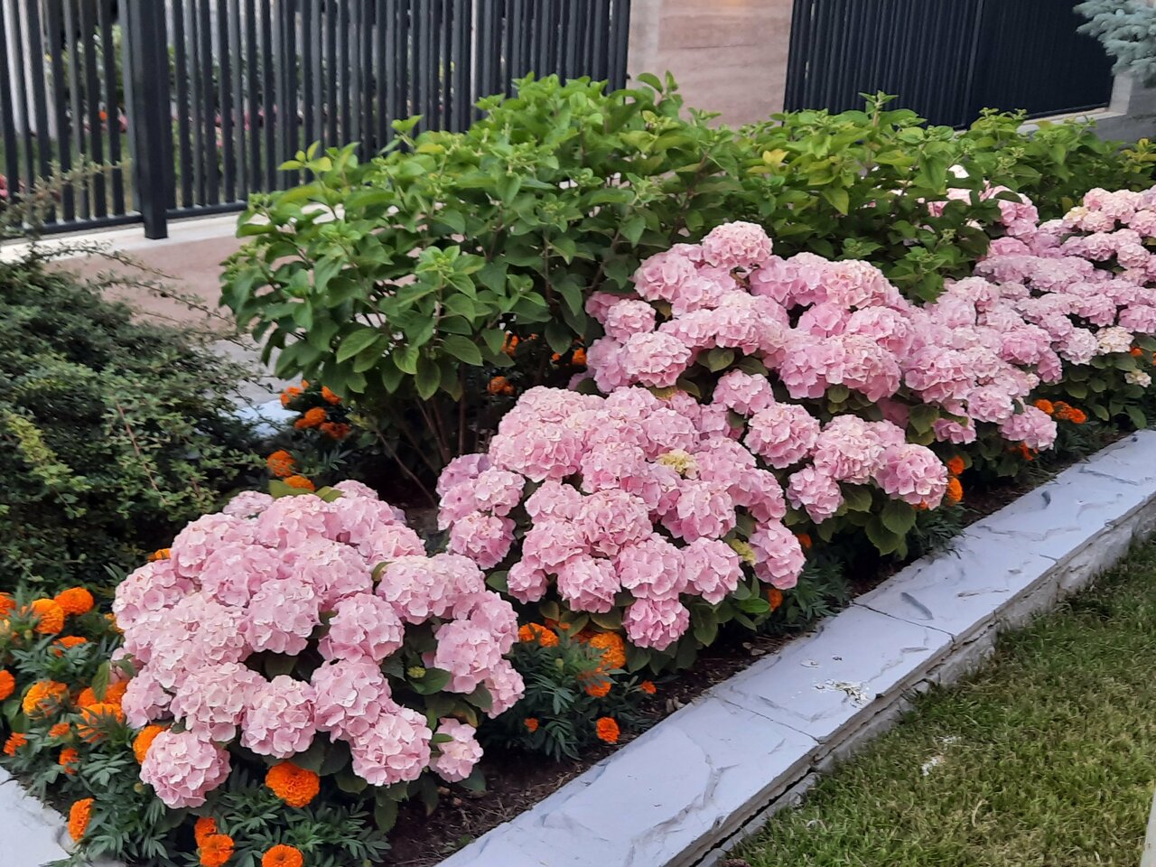 Гостиница Надежда Анапа-184