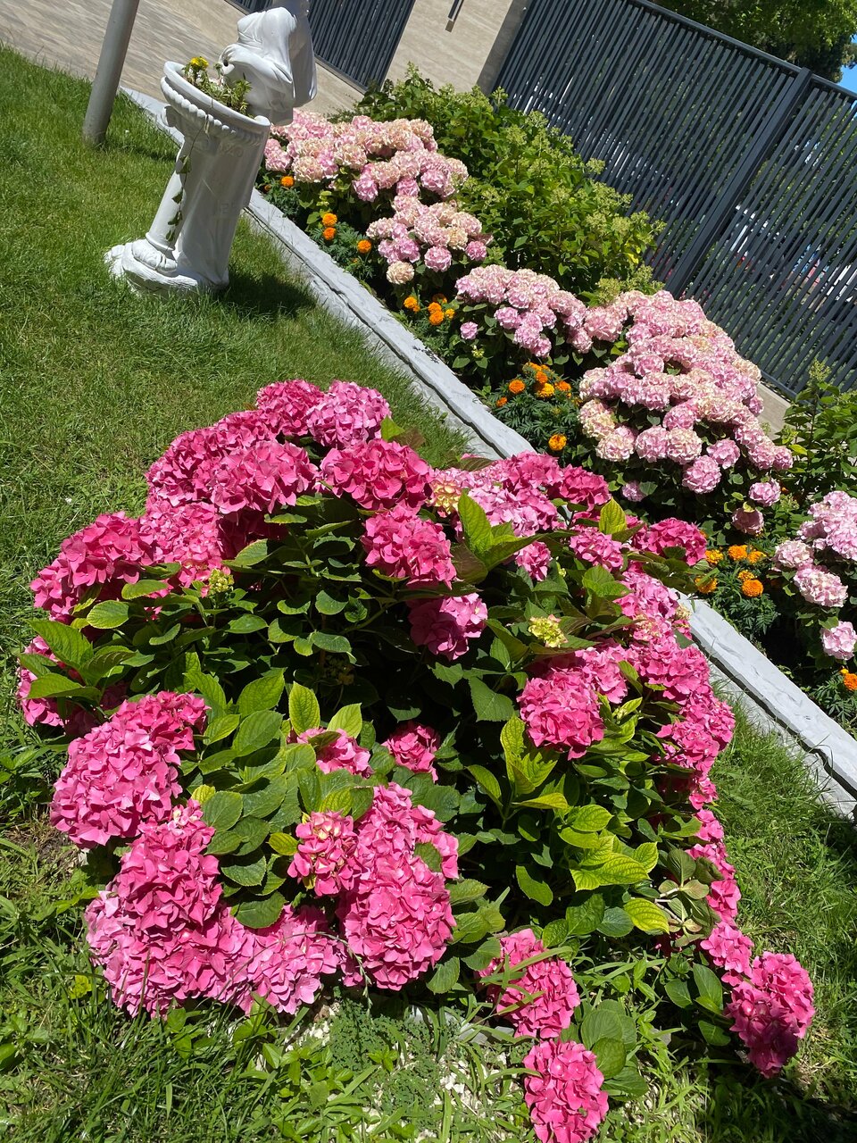 Гостиница Надежда Анапа-252