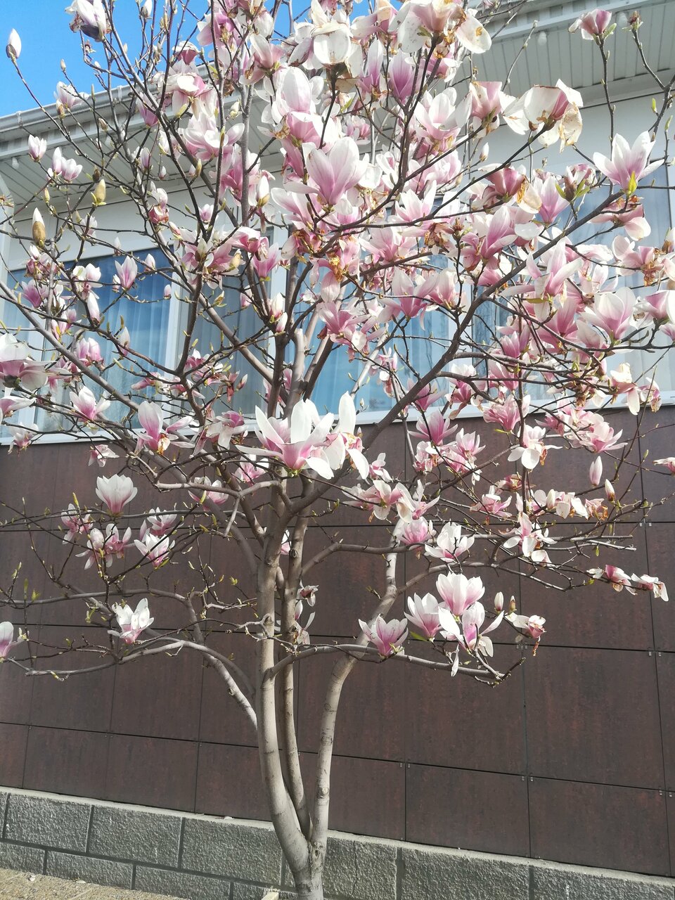 Гостиница Надежда Анапа