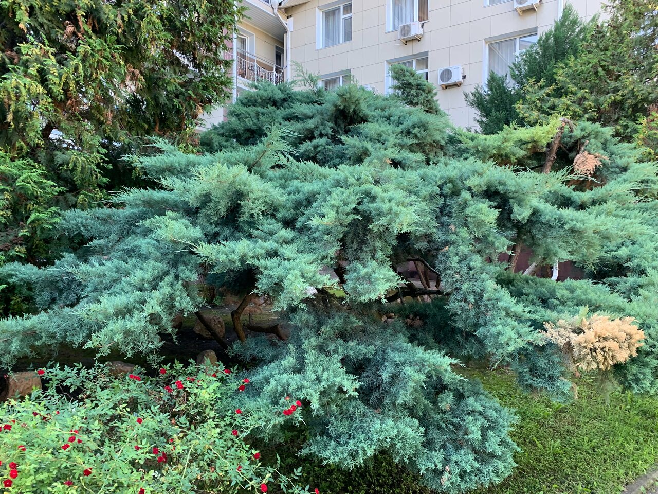 Гостиница Надежда Анапа-145