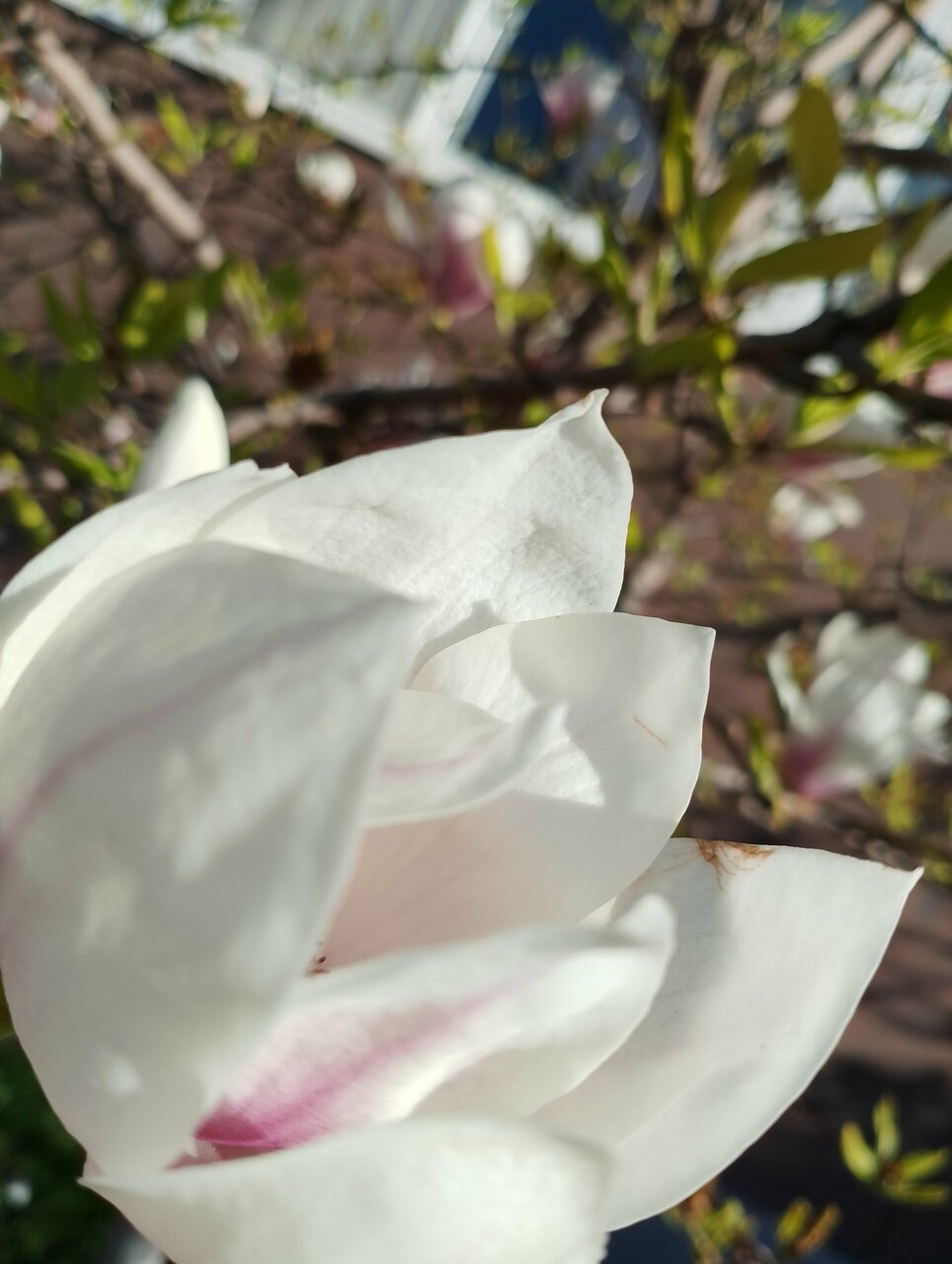 Гостиница Надежда Анапа-122