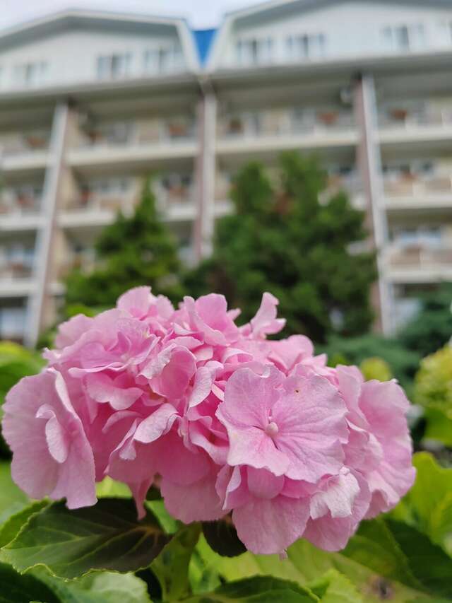 Гостиница Надежда Анапа-129