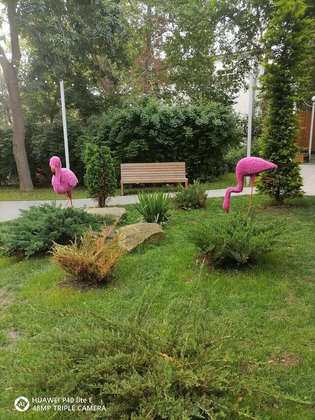 Гостиница Надежда Анапа-112