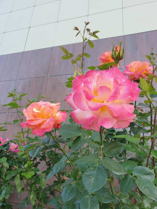 Гостиница Надежда Анапа-130