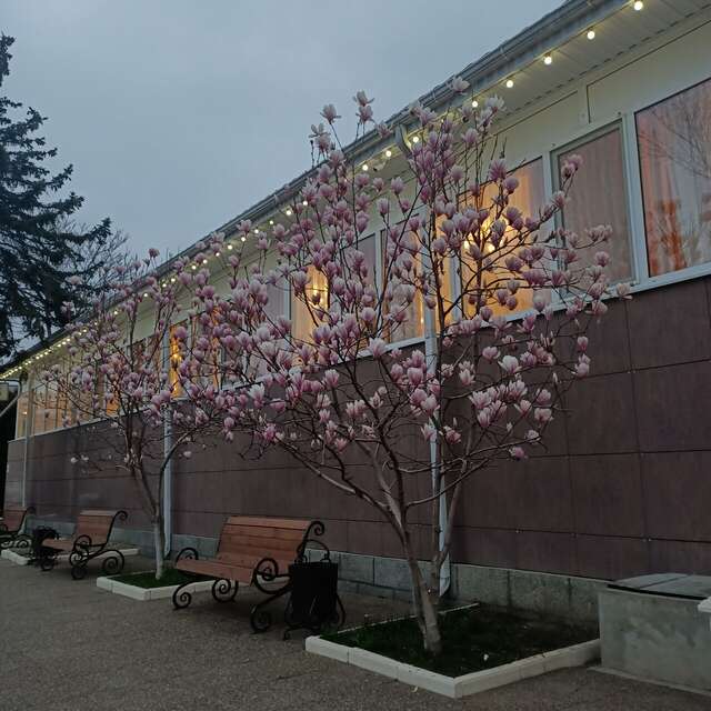 Гостиница Надежда Анапа-162