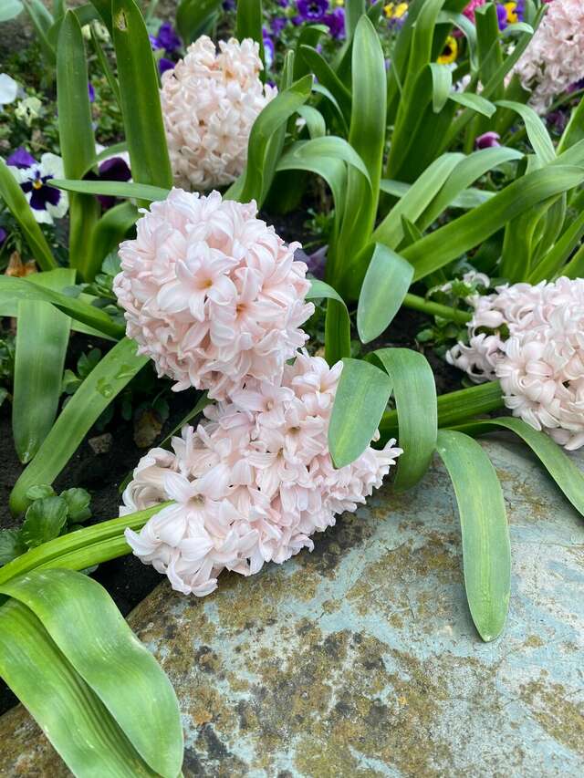 Гостиница Надежда Анапа-119