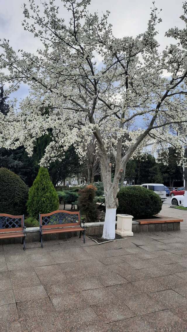 Гостиница Надежда Анапа-153