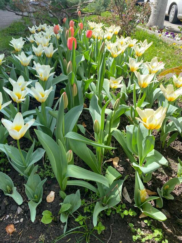 Гостиница Надежда Анапа-111