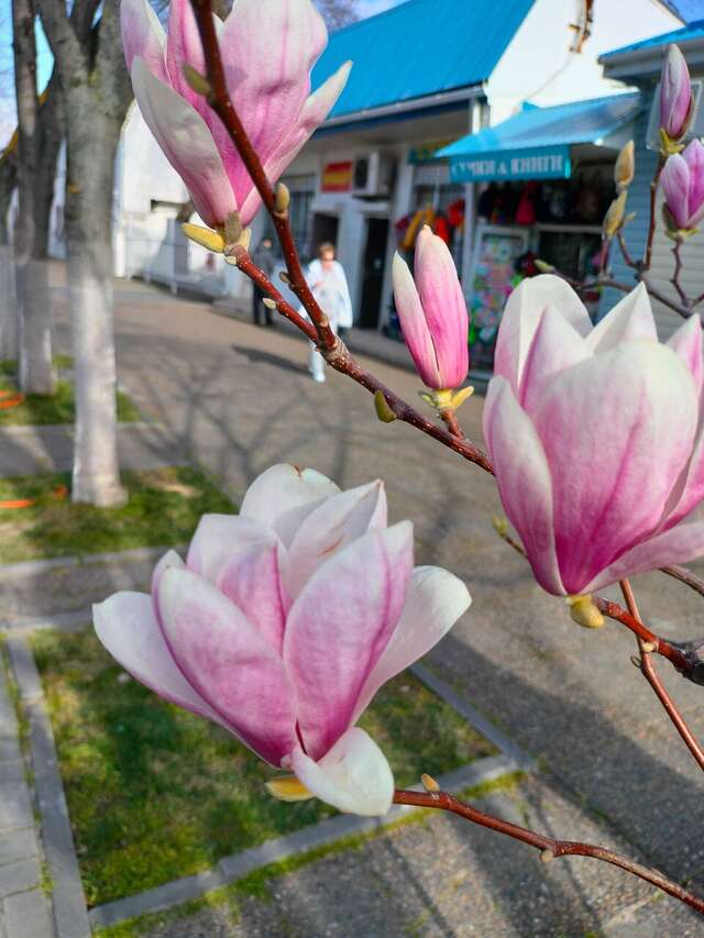 Гостиница Надежда Анапа-128