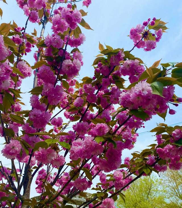 Гостиница Надежда Анапа-114