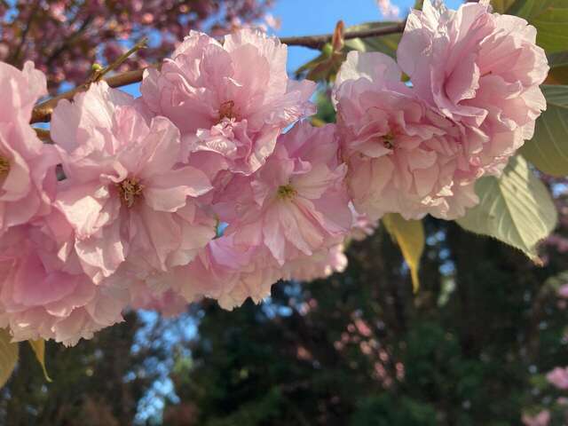 Гостиница Надежда Анапа-131