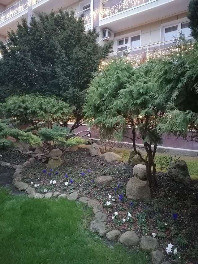 Гостиница Надежда Анапа-151