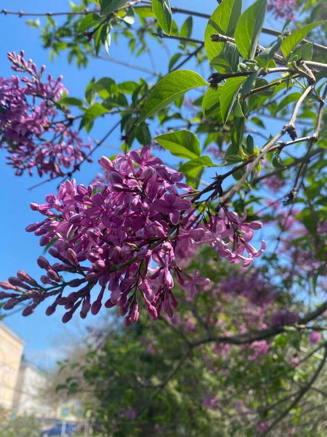 Гостиница Надежда Анапа-113