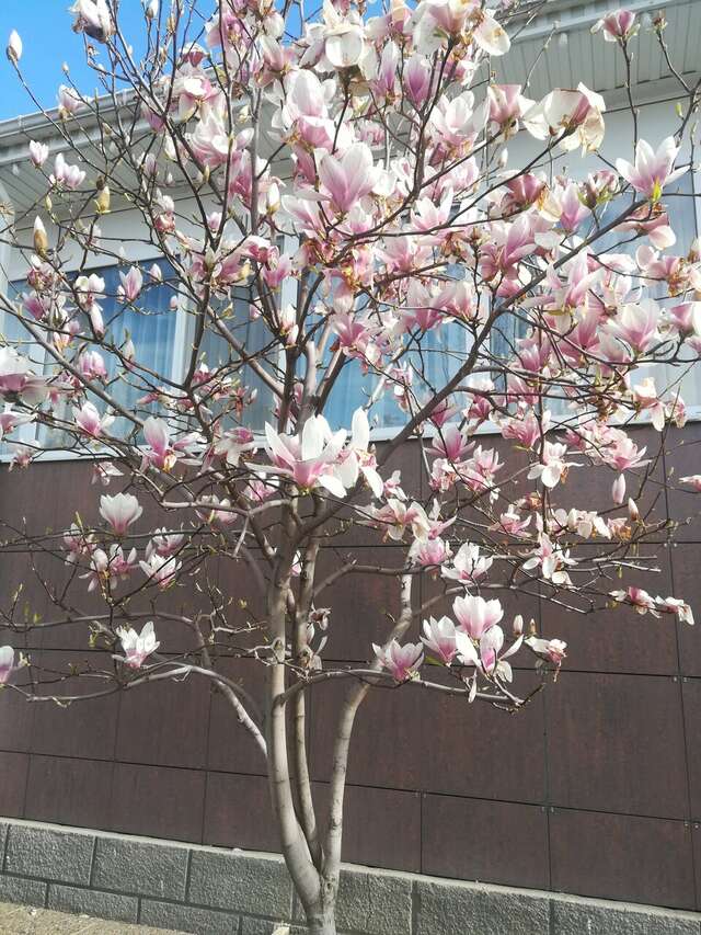 Гостиница Надежда Анапа-115