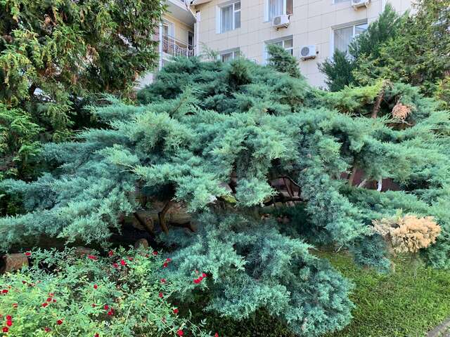 Гостиница Надежда Анапа-144