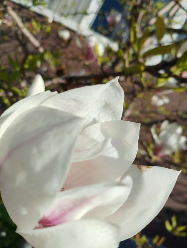 Гостиница Надежда Анапа-121